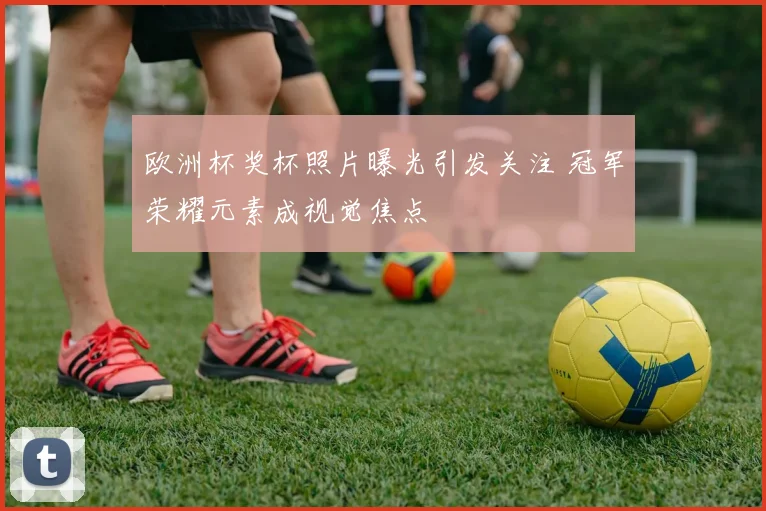 欧洲杯奖杯照片曝光引发关注 冠军荣耀元素成视觉焦点