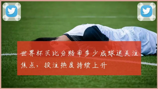 世界杯买比分赔率多少成球迷关注焦点,投注热度持续上升